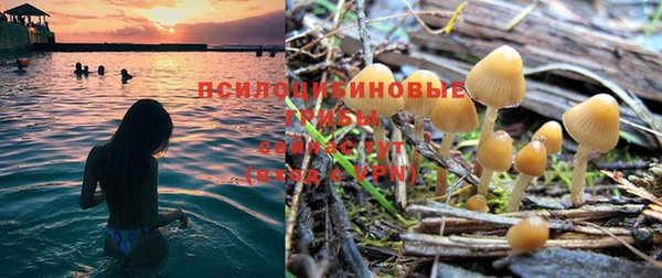 спайс Лиски