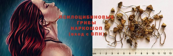 молекула духа Александровское