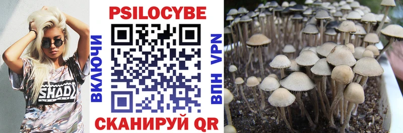 Купить закладки  Лесозаводск  Галлюциногенные грибы Psilocybe 